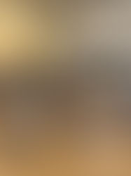 北卡佛光山中文修持　 信眾體驗靜心與淨土之道