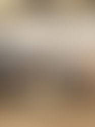 北卡羅萊納州警民合作 愛心糧食為社區傳遞溫暖