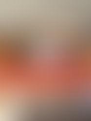 北卡協會「傳遞溫暖與愛」　冬季送暖羅利救援中心 