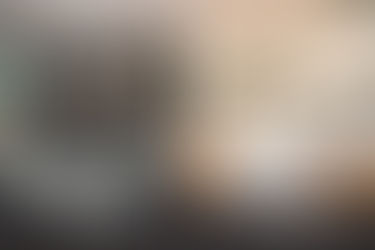 German kitchen cabinets vs North American kitchen cabinets design comparison