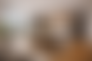 Scavolini Kitchen Renovations in Vancouver