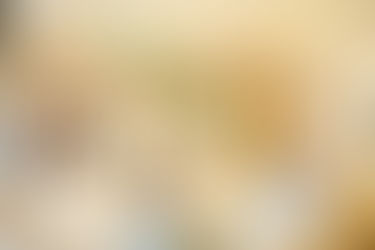 Vancouver condo renovation featuring premium finishes and expert craftsmanship by Grand Renovations.