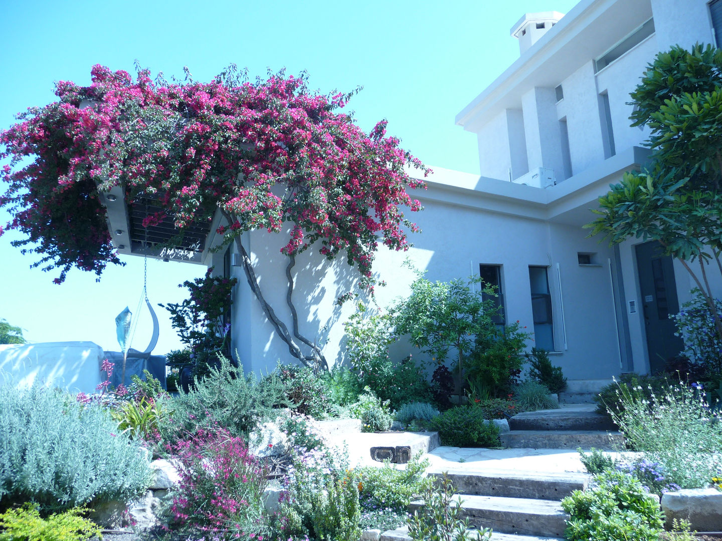 כניסה עיקרית בקומת הביניים