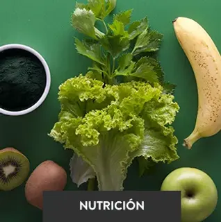 Consulta de nutrición deportiva y dietas personalizadas en Dynamic Life Fitness.