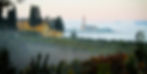 4-villagodiola-arezzo-tuscanvilla-studyabroad-communalliving-tuscany-italy-duomoarezzo (1)