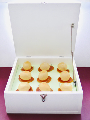 9 No Title, wood, rubber latex, foam, pins, 18.5 x 20 x 10 cm (hxbxd), 2011.jpeg