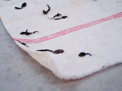 12 Detail No Title, floorcloth, seaweed, yarn, 50 x 60 cm, 2005.jpeg