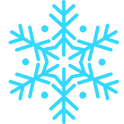 snowflake (1).png