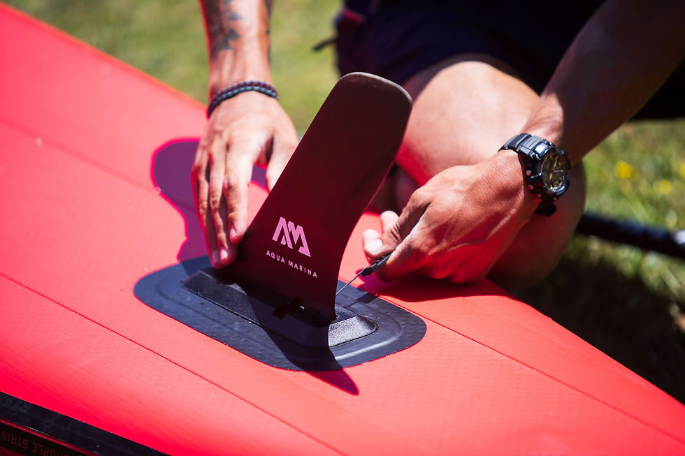 Thumbnail: RACING FIN - slide-in