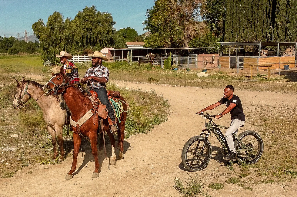 Vtuvia - SN100 005_240821_online.png