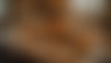 Creating a Cozy and Welcoming Home for Thanksgiving: A Guide for Hosting