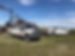 Arrowhead in the field.jpg