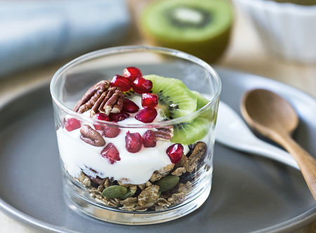 sano Yogurt