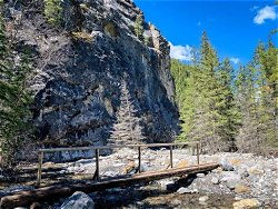 Heart Creek Trail Hike