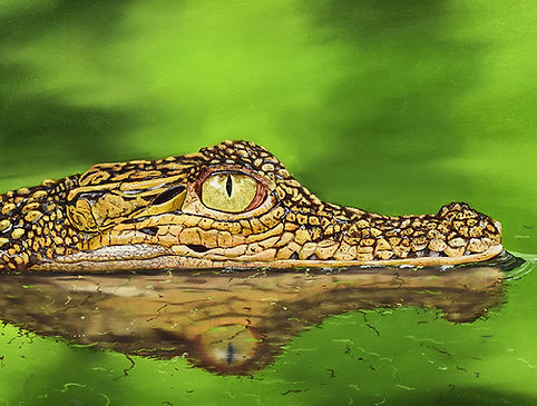 CROCODILE (med).jpg