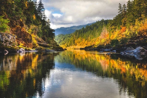rogue-river-near-gold-beach-oregon.jpeg