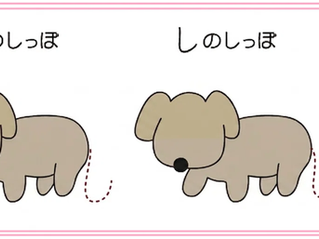 苦手をどうする? -3つの手立てで意欲を育む-