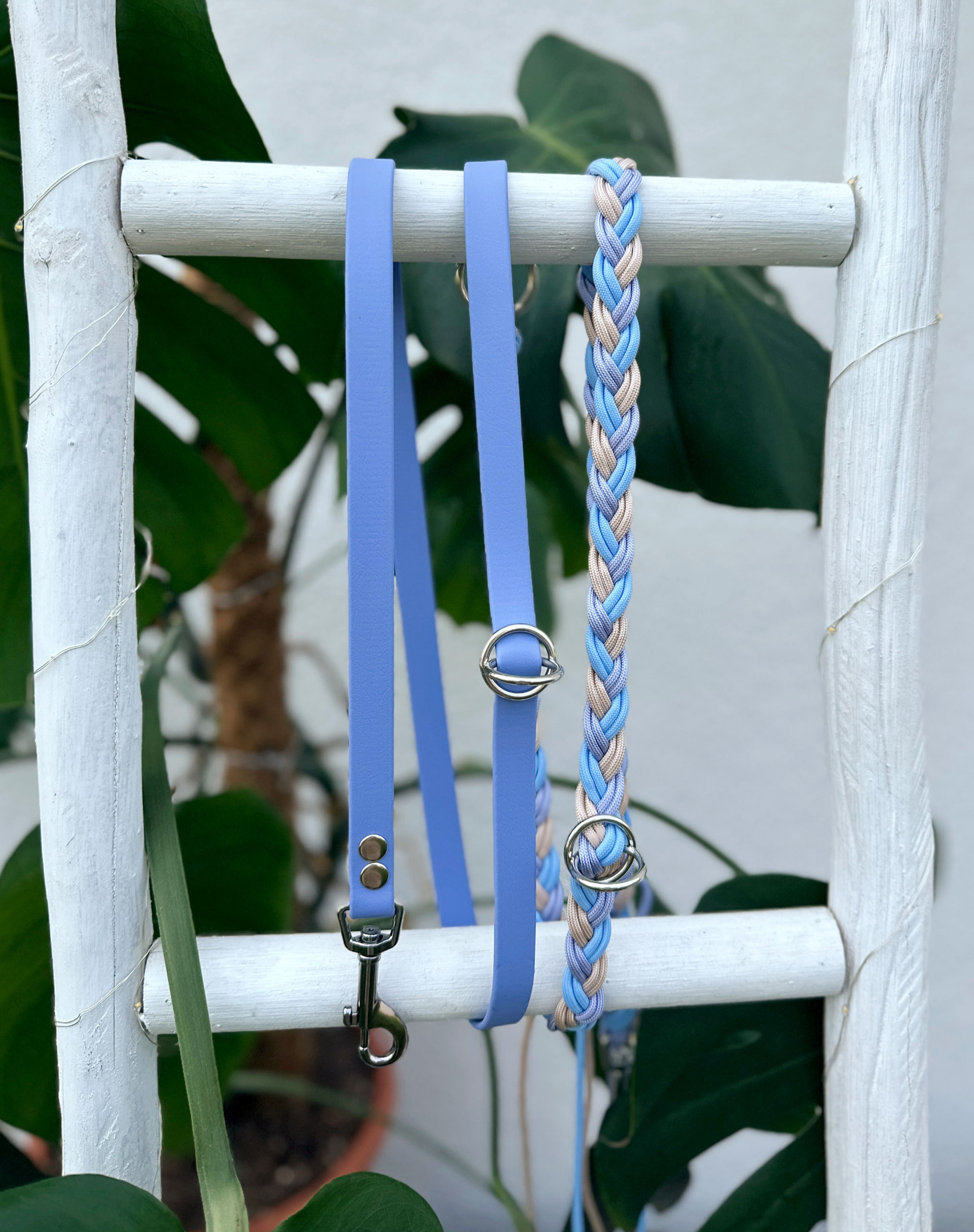 Happy Leeash - Pastel Lover (S)