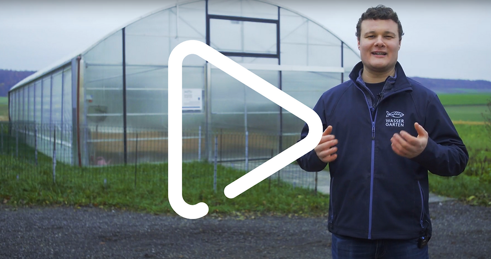 VIDEO: Gewinner des 3. Platzes beim Innovationspreis 2023