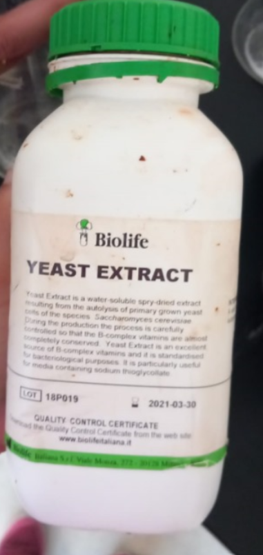 Yeast
