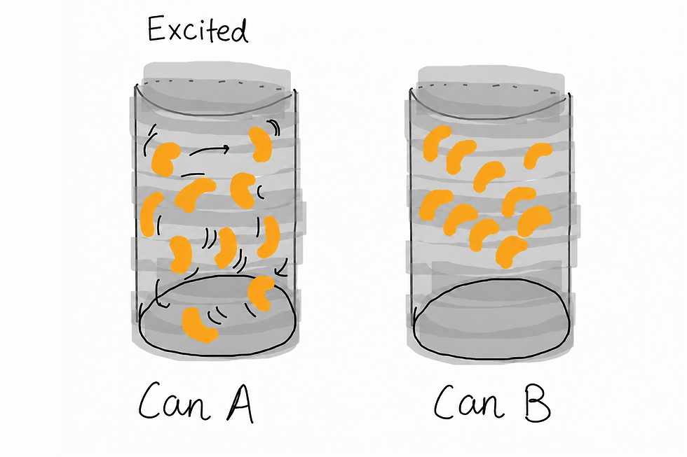 Figure 1. Hypothetical situation with two cans containing beans: in Can A (left), the beans are more excited than in Can B (right). The diagram was hand-drawn by the author (perhaps not artistic, but gets the point across!).