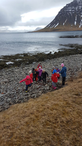 Fuglaskoðun
