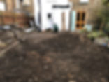 Digging out Japanese knotweed