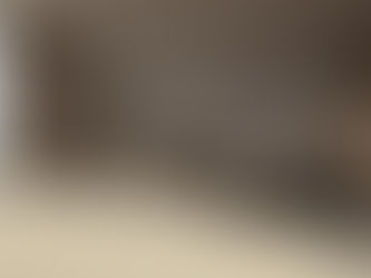 פרקט SPC לריצוף הבית בסלון מודרני עם רצפת דמוי עץ בהירה ועיצוב פנים יוקרתי