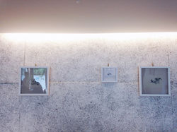 Showcase at mojocoffee