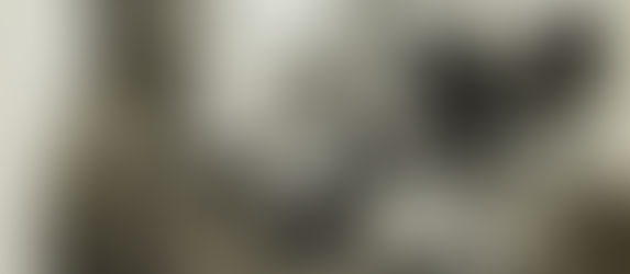 The Power of Recognition: Satisfying Our Craving for Appreciation