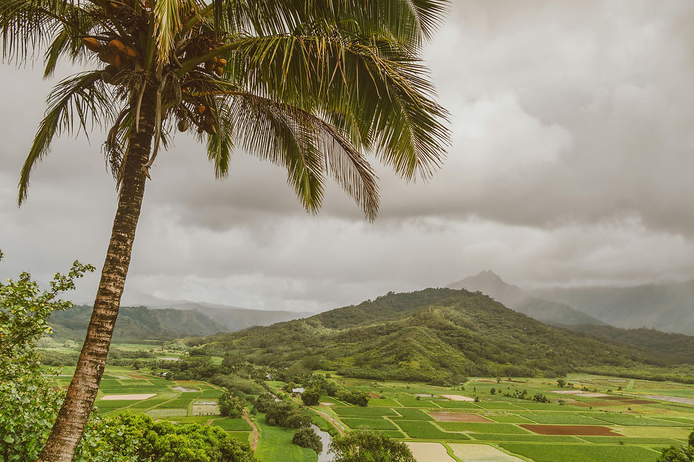 5 Day Intensive with Chris Trump (Limited Edition, All Inclusive)