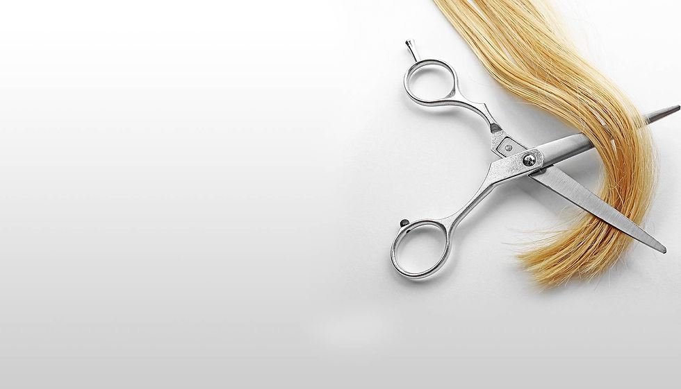 HAIR SCISSORS.JPG