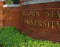 636447188126559022-Alorn2 (1).webp