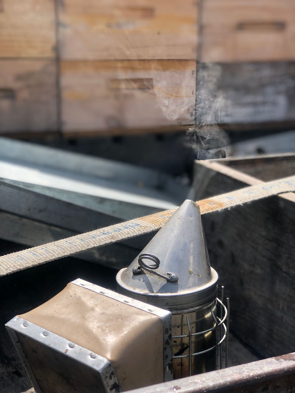 Honeydew Harvest Smoker