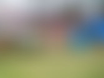 𝗚𝗮𝘀𝗮𝗹𝗮𝗿𝗺 𝗶𝗻 𝗘𝗿𝗶𝗰𝗮: 𝗲𝗲𝗻 𝘄𝗶𝗻𝗱𝗲𝗿𝗶𝗴 𝗺𝗶𝘀𝘃𝗲𝗿𝘀𝘁𝗮𝗻𝗱