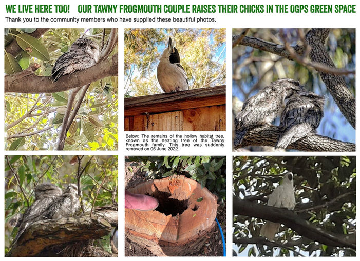 We live here too! .jpg