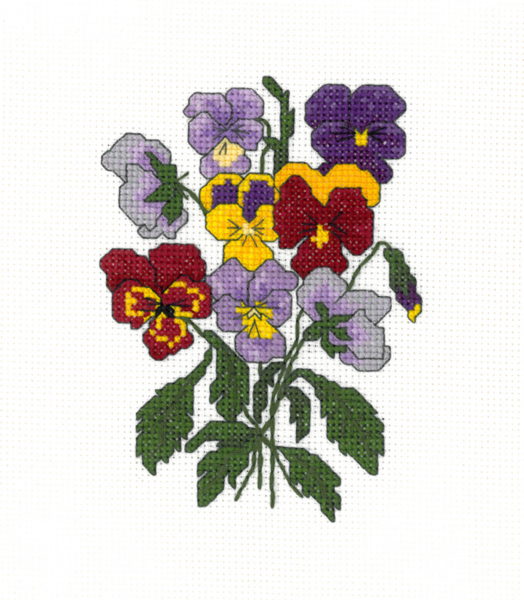 Pansies