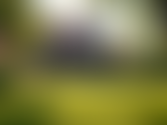 Understanding the Washington State Homebuying Process