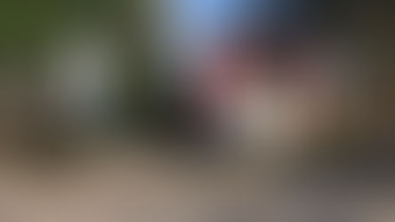 PROCON NO JARDIM DAS IMBUIAS SERÁ INAUGURADO DIA 28 DE MARÇO