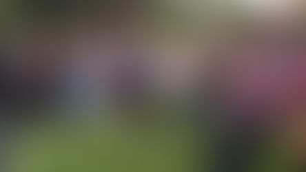 CAMPO DO MORGANTE DÁ ADEUS AO CAMPO DE TERRA GRAÇAS A EMENDA DO VEREADOR ALESSANDRO GUEDES