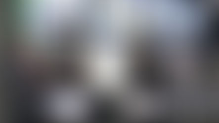 SISTEMA DE MONITORAMENTO INTERNO DA ALESP