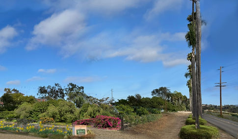 Comparison West foliage location 4 Silvergate copy (1) 4.jpg