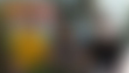 1ª DIÁRIA - MBIGUAÇU