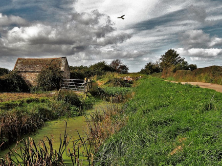 A Linhay on Braunton Marsh.