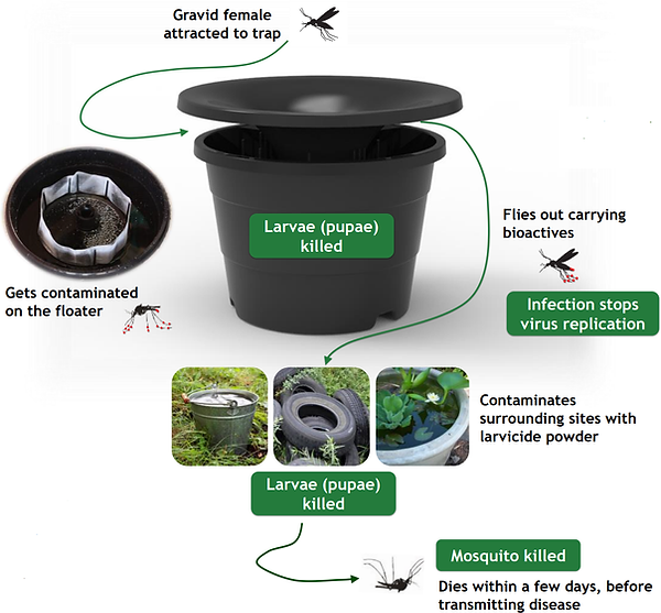 mosquito-trap-how-it-works.png