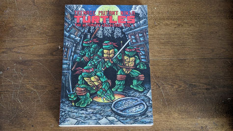 "TURTLE POWER DUDE!".