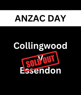 CORPORATE TRAVEL SOLUTIONS (6).png