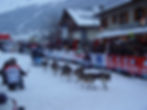 LA GRANDE ODYSSEE