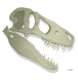 CSLP_2026_Dino_Skull.png