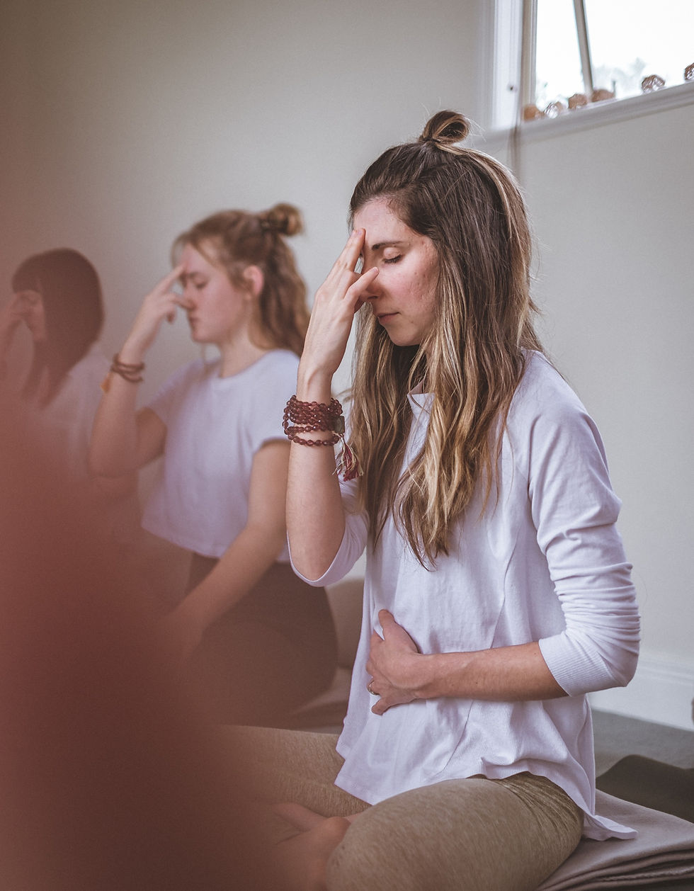 Meditation Courses Pure Yoga Studio